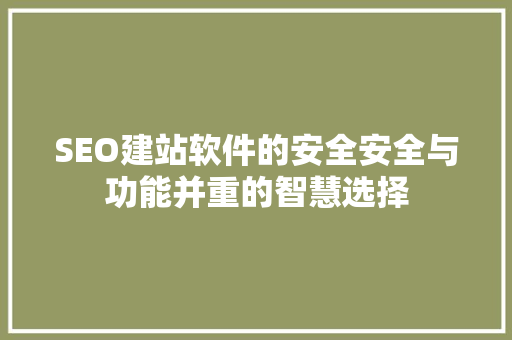 SEO建站软件的安全安全与功能并重的智慧选择