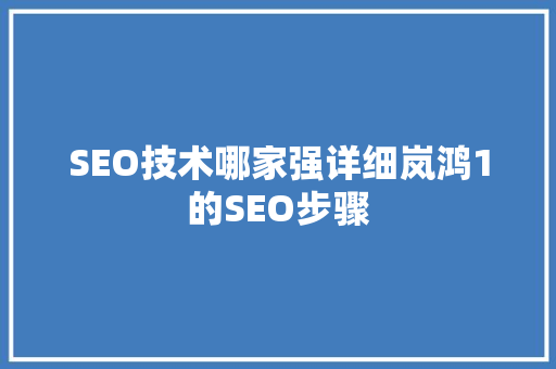 SEO技术哪家强详细岚鸿1的SEO步骤