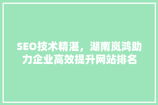 SEO技术精湛，湖南岚鸿助力企业高效提升网站排名