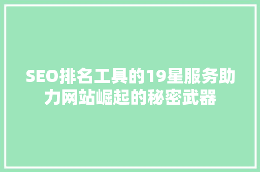 SEO排名工具的19星服务助力网站崛起的秘密武器