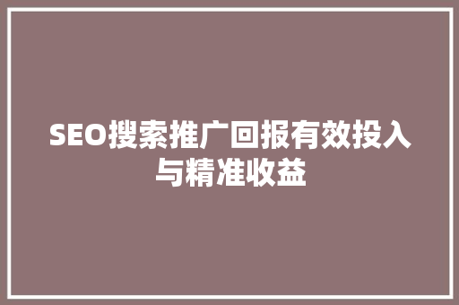 SEO搜索推广回报有效投入与精准收益