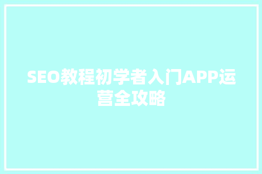 SEO教程初学者入门APP运营全攻略
