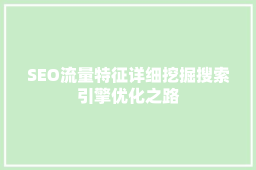 SEO流量特征详细挖掘搜索引擎优化之路