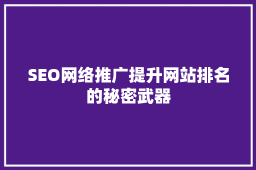 SEO网络推广提升网站排名的秘密武器