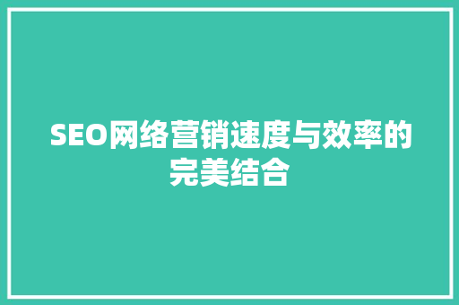 SEO网络营销速度与效率的完美结合