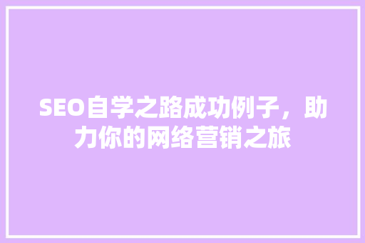 SEO自学之路成功例子，助力你的网络营销之旅
