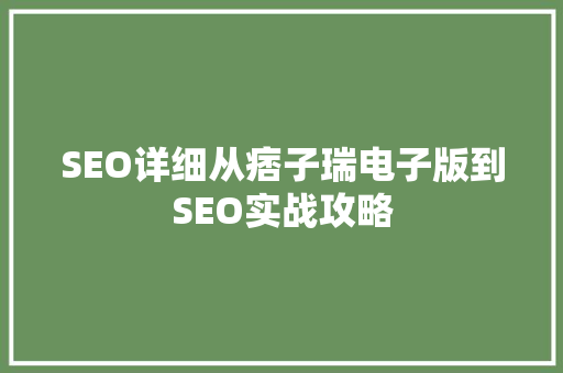 SEO详细从痞子瑞电子版到SEO实战攻略