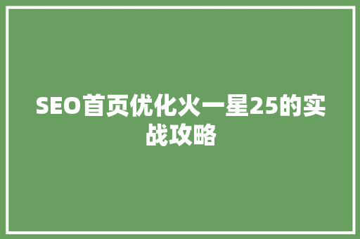 SEO首页优化火一星25的实战攻略