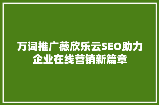 万词推广薇欣乐云SEO助力企业在线营销新篇章