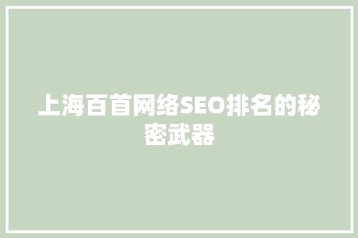 上海百首网络SEO排名的秘密武器