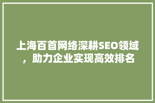 上海百首网络深耕SEO领域，助力企业实现高效排名