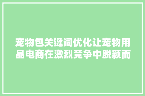 宠物包关键词优化让宠物用品电商在激烈竞争中脱颖而出