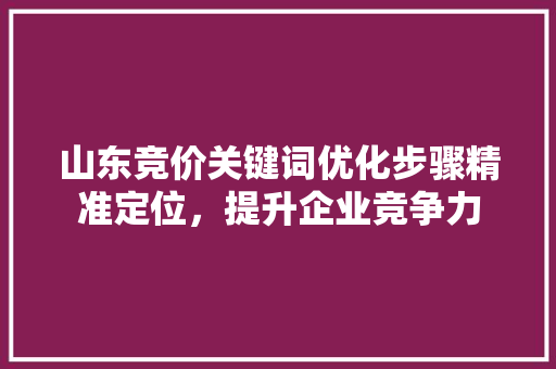 山东竞价关键词优化步骤精准定位，提升企业竞争力