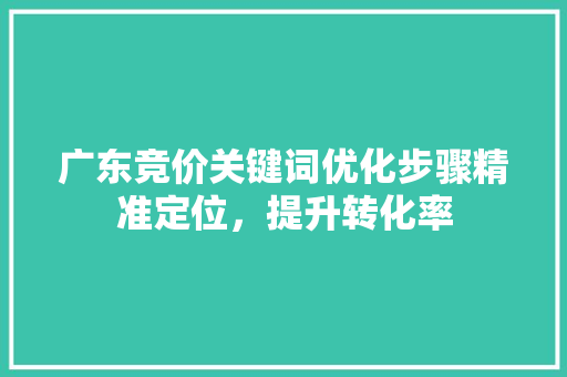 广东竞价关键词优化步骤精准定位，提升转化率