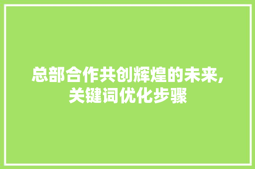 总部合作共创辉煌的未来,关键词优化步骤