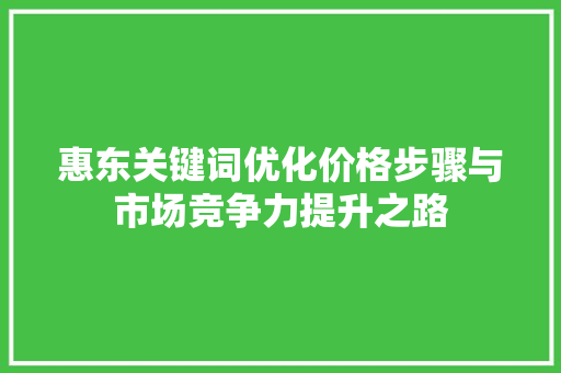 惠东关键词优化价格步骤与市场竞争力提升之路