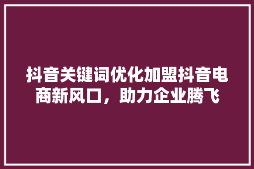 抖音关键词优化加盟抖音电商新风口，助力企业腾飞
