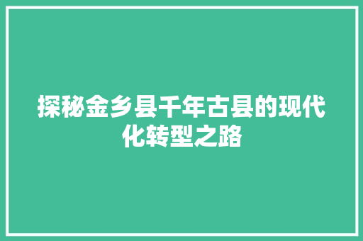 探秘金乡县千年古县的现代化转型之路
