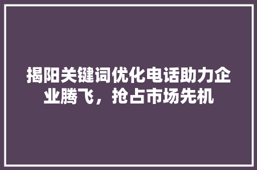 揭阳关键词优化电话助力企业腾飞，抢占市场先机