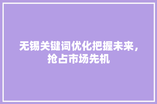 无锡关键词优化把握未来，抢占市场先机