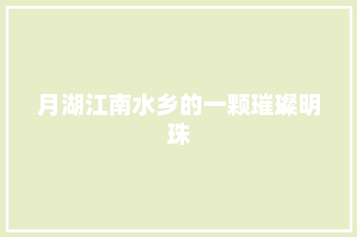 月湖江南水乡的一颗璀璨明珠
