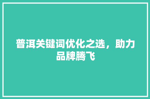 普洱关键词优化之选，助力品牌腾飞