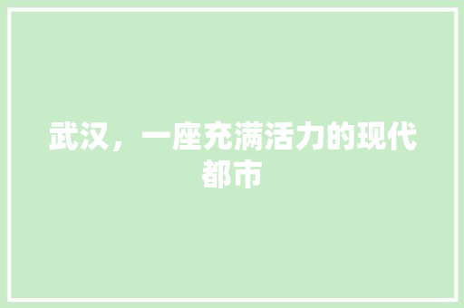 武汉，一座充满活力的现代都市