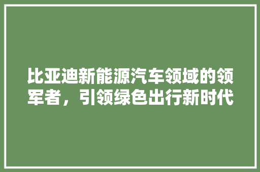 比亚迪新能源汽车领域的领军者，引领绿色出行新时代