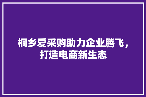桐乡爱采购助力企业腾飞，打造电商新生态