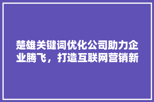 楚雄关键词优化公司助力企业腾飞，打造互联网营销新格局