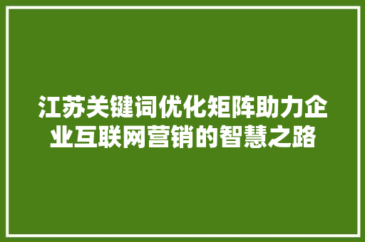 江苏关键词优化矩阵助力企业互联网营销的智慧之路