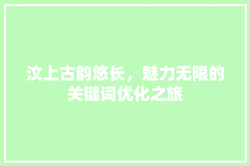 汶上古韵悠长，魅力无限的关键词优化之旅