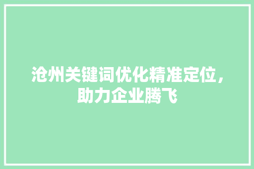 沧州关键词优化精准定位，助力企业腾飞