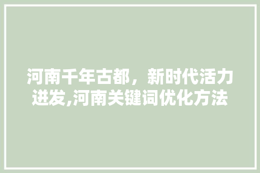 河南千年古都，新时代活力迸发,河南关键词优化方法