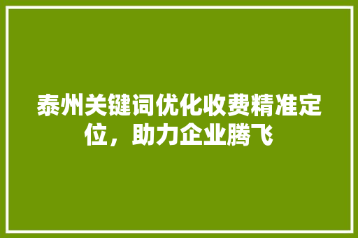 泰州关键词优化收费精准定位，助力企业腾飞