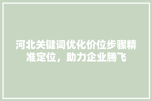 河北关键词优化价位步骤精准定位，助力企业腾飞