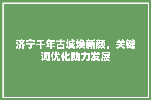 济宁千年古城焕新颜，关键词优化助力发展