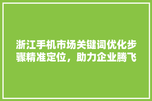 浙江手机市场关键词优化步骤精准定位，助力企业腾飞