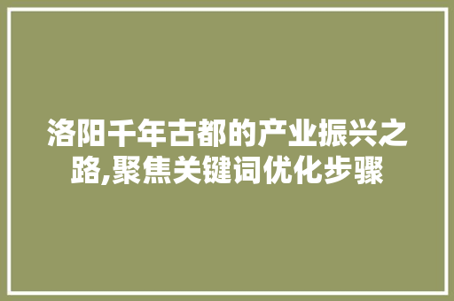 洛阳千年古都的产业振兴之路,聚焦关键词优化步骤