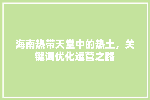 海南热带天堂中的热土，关键词优化运营之路