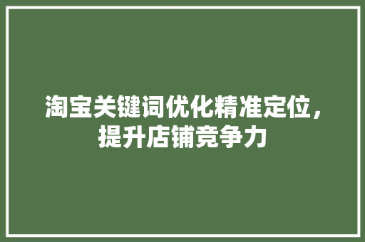 淘宝关键词优化精准定位，提升店铺竞争力