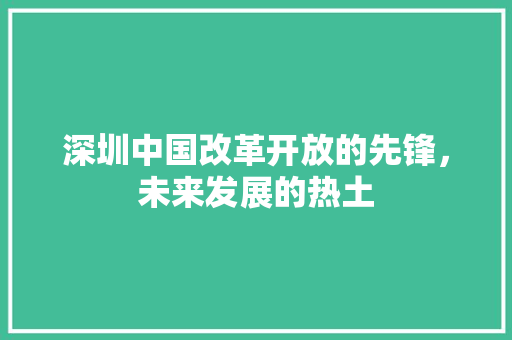 深圳中国改革开放的先锋，未来发展的热土