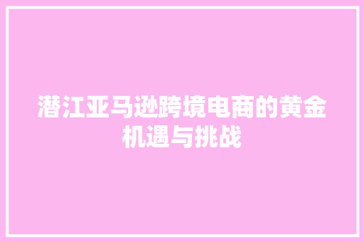 潜江亚马逊跨境电商的黄金机遇与挑战