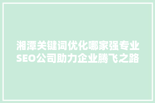 湘潭关键词优化哪家强专业SEO公司助力企业腾飞之路