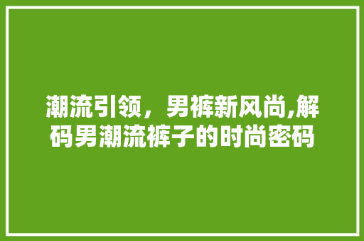 潮流引领，男裤新风尚,解码男潮流裤子的时尚密码