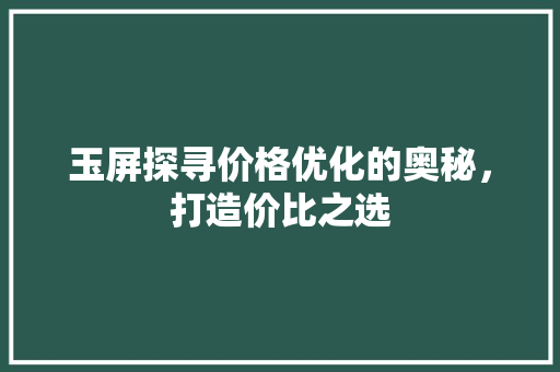 玉屏探寻价格优化的奥秘，打造价比之选