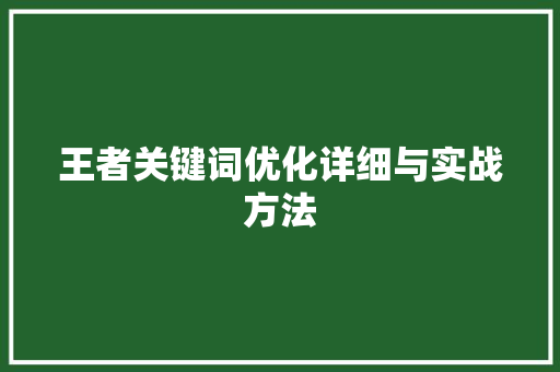 王者关键词优化详细与实战方法