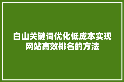 白山关键词优化低成本实现网站高效排名的方法