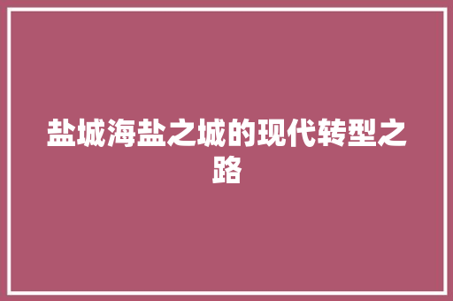 盐城海盐之城的现代转型之路