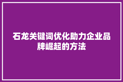 石龙关键词优化助力企业品牌崛起的方法